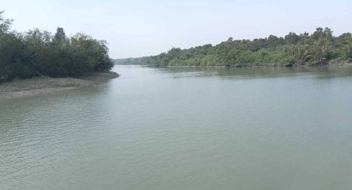 সুন্দরবনে দুই মাসের জন্য কাঁকড়া ধরা নিষিদ্ধ